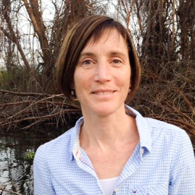 Ann Hitchcock