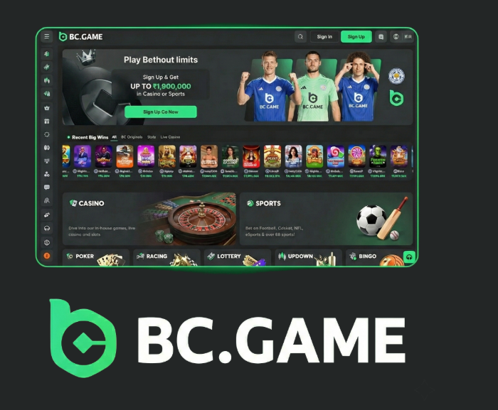 BC.Game Mirror Login Process Explained BC.Game Mirror Login Process Explained