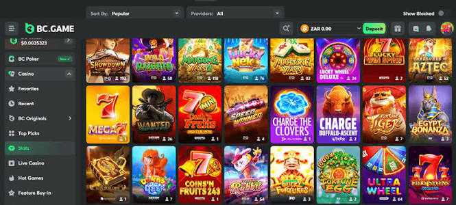 Exploring BC.Game A Premier Gambling Platform for Enthusiasts